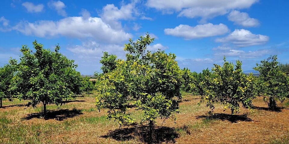 Il nostro angolo scientifico