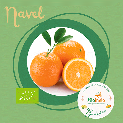 Arance Navel BIO