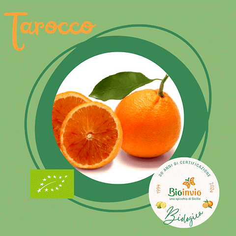 Arance Tarocco BIO