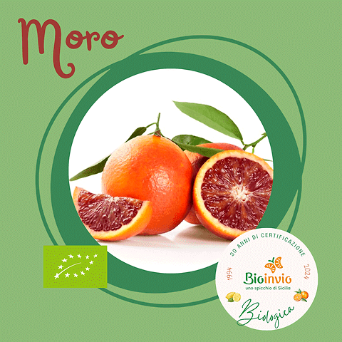 Arance Rosse di Sicilia BIO