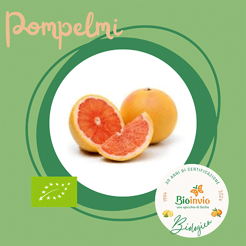Pompelmo Biologico